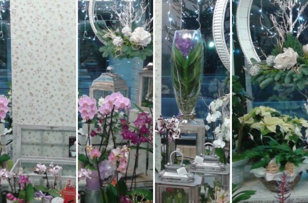 piante da appartamento e fiori recisi