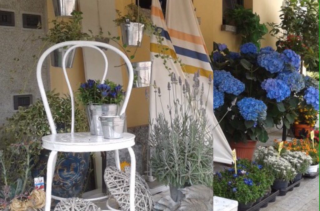 piante da giardino